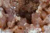 Pink Amethyst Geode Half - Exceptional Specimen #127311-1